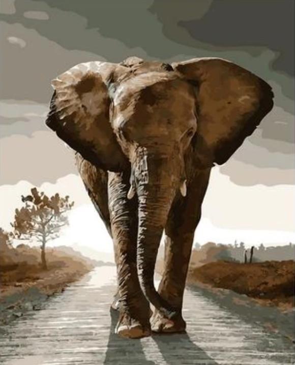 Elefante en el Camino Pintar por Números