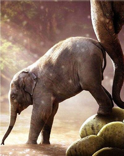 Elefante Pequeño al Sol Pintar por Números