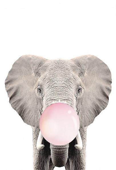 Elefante Pequeño con Burbuja Rosa de Chicle Pintar por Números