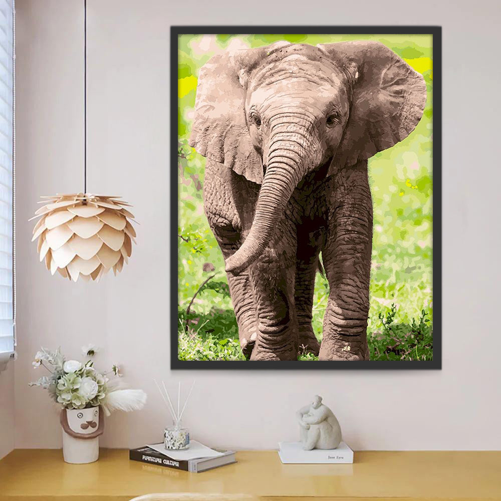Elefante Pequeño en el Césped Pintar por Números