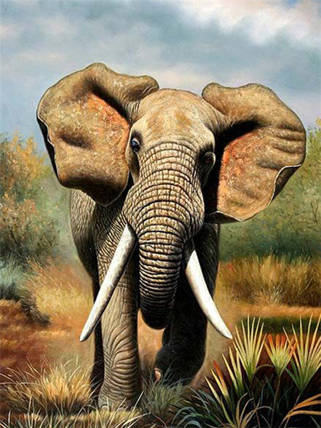 Elefante Pequeño en la Estepa Pintar por Números