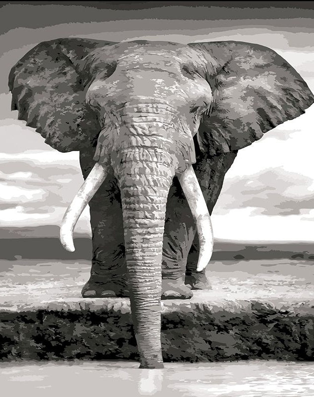 Elefante Real en Blanco y Negro Pintar por Números