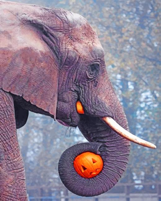 Elefante y Calabaza de Halloween Pintar por Números