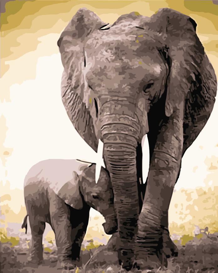 Elefante y Su Niño Pintar por Números