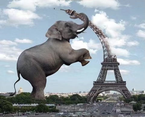 Elefante y Torre Eiffel Doblada Pintar por Números