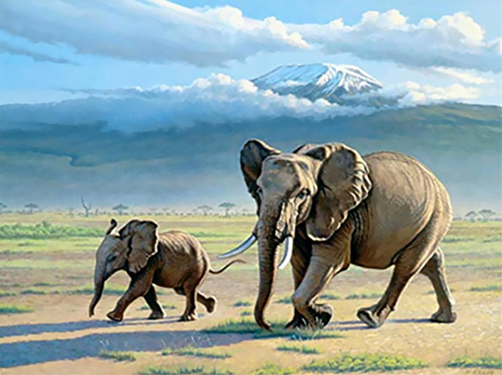 Elefantes y Montaña Pintar por Números