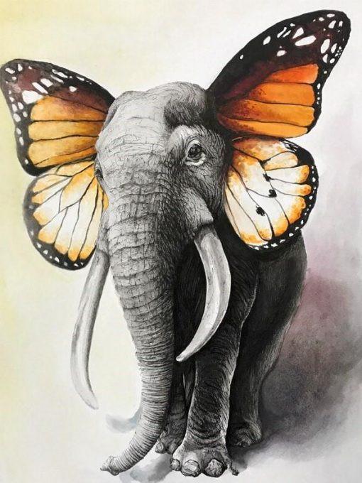 Elefantito con Orejas de Alas de Mariposa Pintar por Números