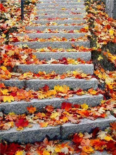 Escalera Cubierta de Hojas de Otoño Pintar por Números