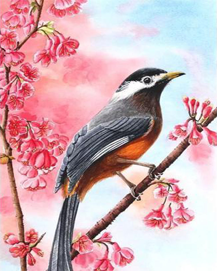 Escena con Pájaro y Flores Rosadas Pintar por Números