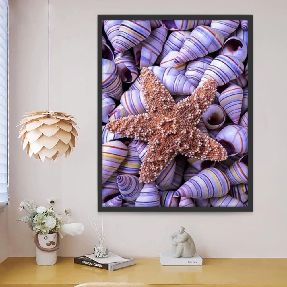 Estrella de Mar y Conchas de Molusco Pintar por Números