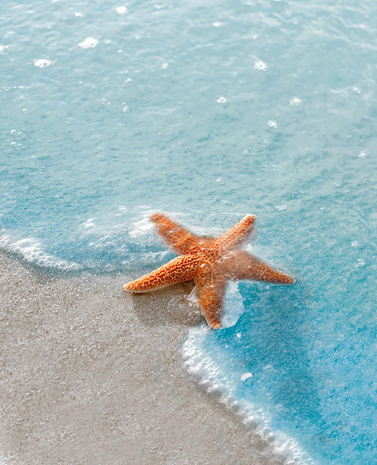 Estrella de Mar y Olas Azules Pintar por Números