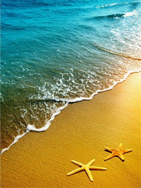Estrellas de Mar y Olas Marinas Pintar por Números