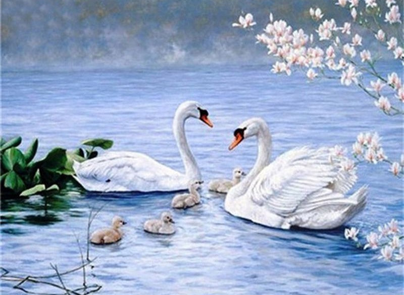 Familia de Cisnes en Agua Pintar por Números