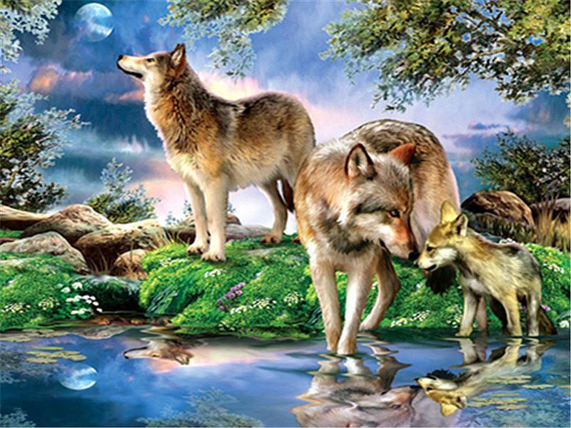 Familia de Lobos al Lado de Arroyo en la Noche Pintar por Números