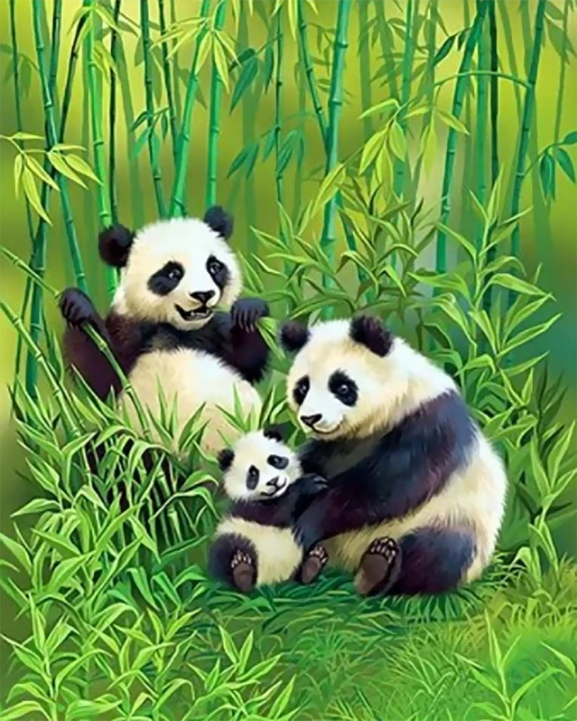 Familia de Pandas en Bosque de Bambú Pintar por Números