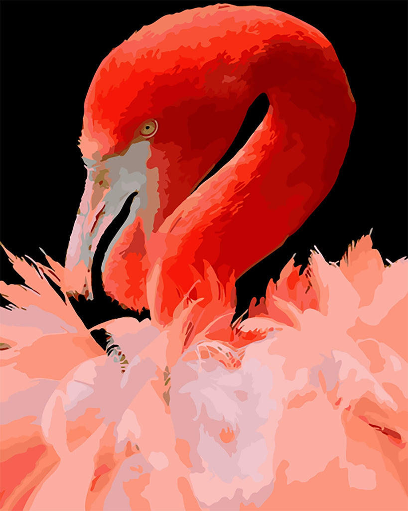 Flamenco con Fondo Oscuro Pintar por Números