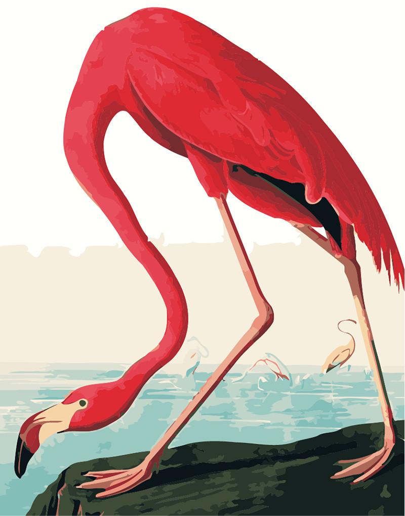 Flamenco Rojo sobre Roca Pintar por Números