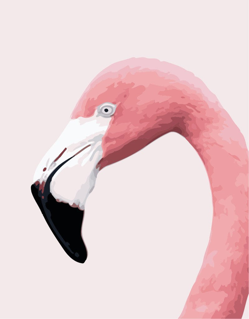Flamenco Rosa de Cerca Pintar por Números