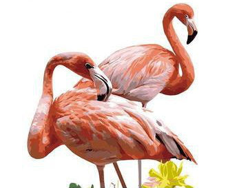 Flamencos con Fondo Blanco Pintar por Números