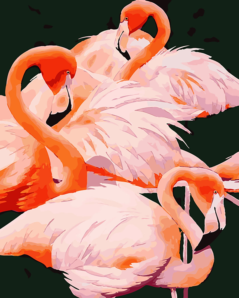 Flamencos de Color Rosado Pintar por Números