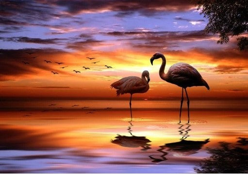 Flamencos en Agua y Puesta del Sol Pintar por Números