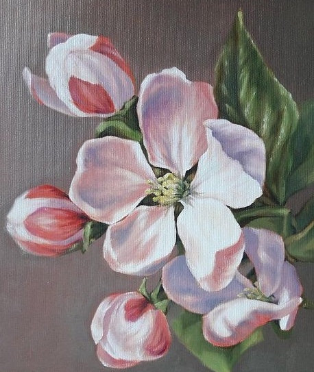 Flor de Cinco Pétalos Blancos y Capullos y Hojas Verdes Pintar por Números