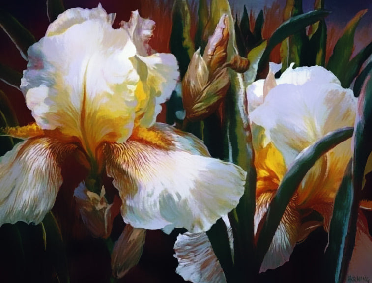 Flor de Iris Blanco con Fondo de Hojas Verdes Pintar por Números