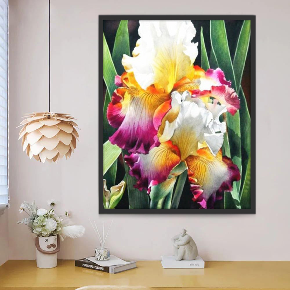 Flor de Iris con Hojas Verdes Pintar por Números