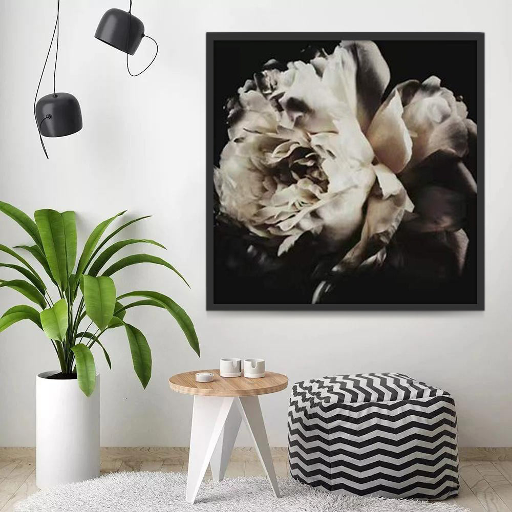 Flor de Peonía Blanca y Negra en la Oscuridad Pintar por Números