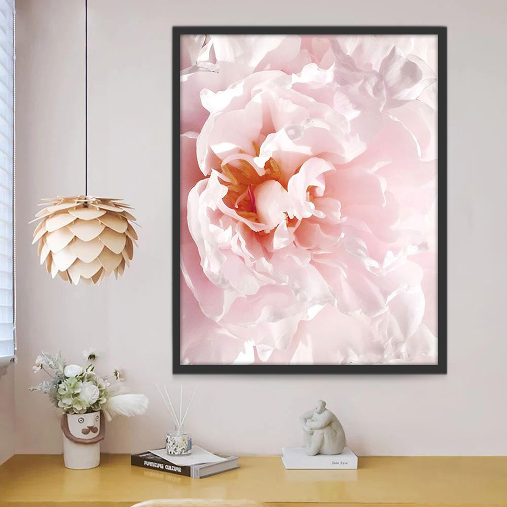 Flor de Peonía de Color Rosado Claro de Cerca Pintar por Números