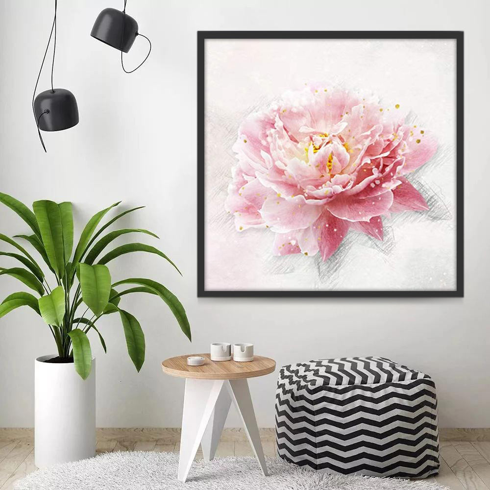 Flor de Peonía de Color Rosado Claro en el Fondo Blanco Pintar por Números
