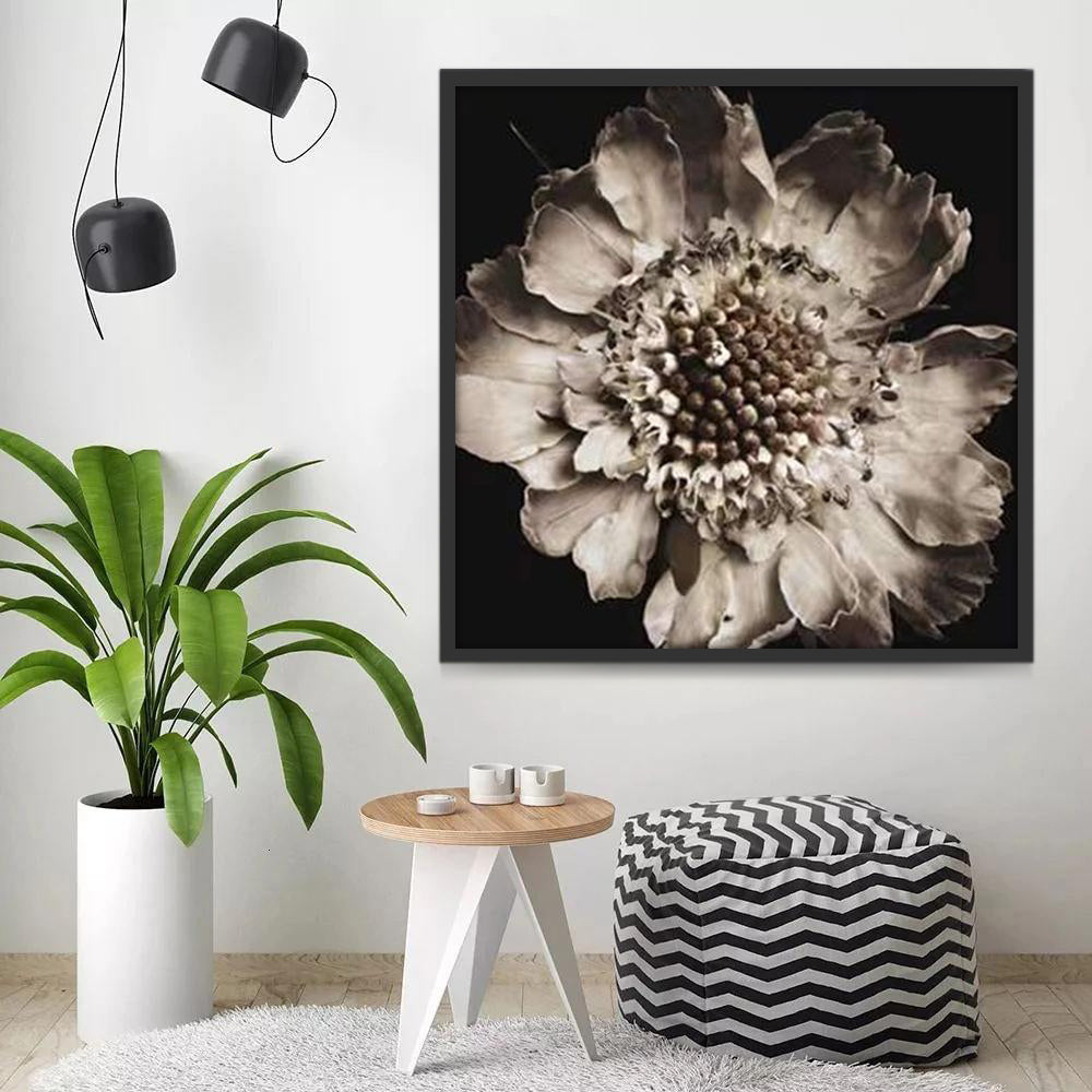 Flor de Peonía Marchita en Blanco y Negro Pintar por Números