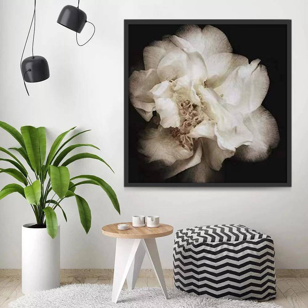 Flor de Pétalos Blancos en la Oscuridad Pintar por Números