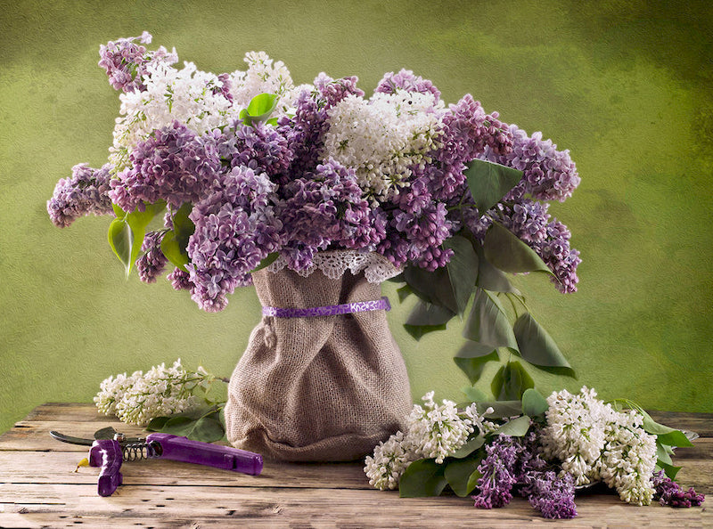 Flores de Color Morado y Blanco en Saco Pintar por Números