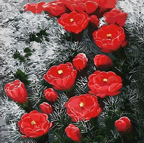 Flores de Color Rojo en Arbustos en Blanco y Negro Pintar por Números