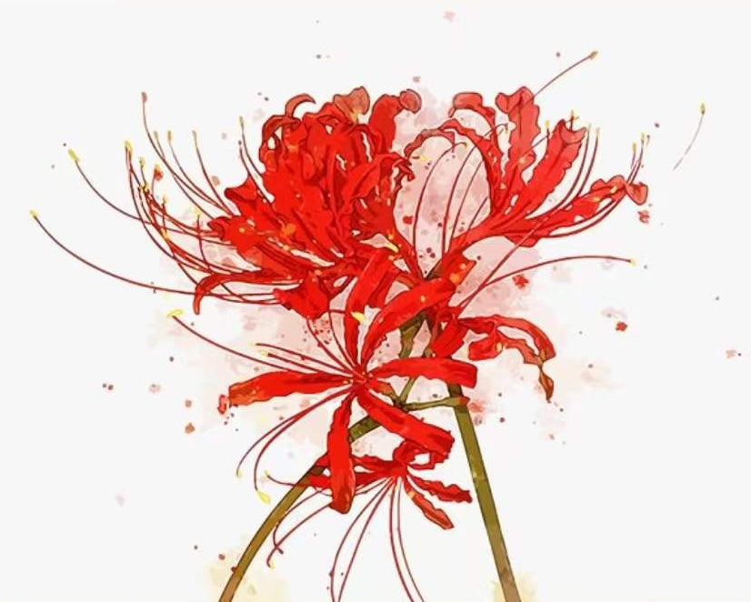 Flores de Infierno de Color Rojo Pintar por Números