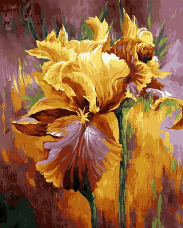 Flores de Iris Amarillo Pintadas al Óleo con Fondo Colorido Pintar por Números