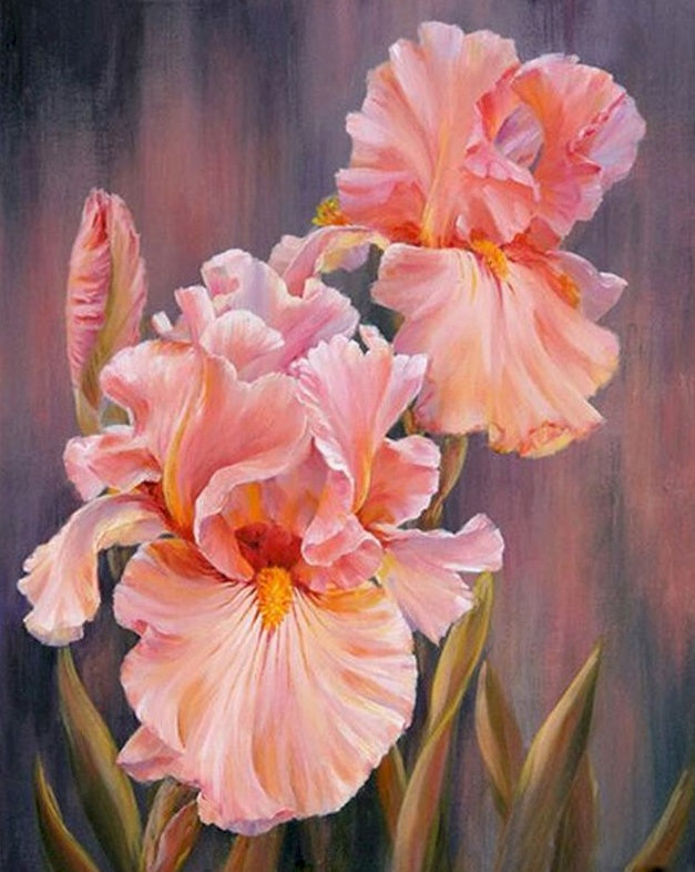 Flores de Iris de Color Rosado con Fondo de Textura Pintar por Números
