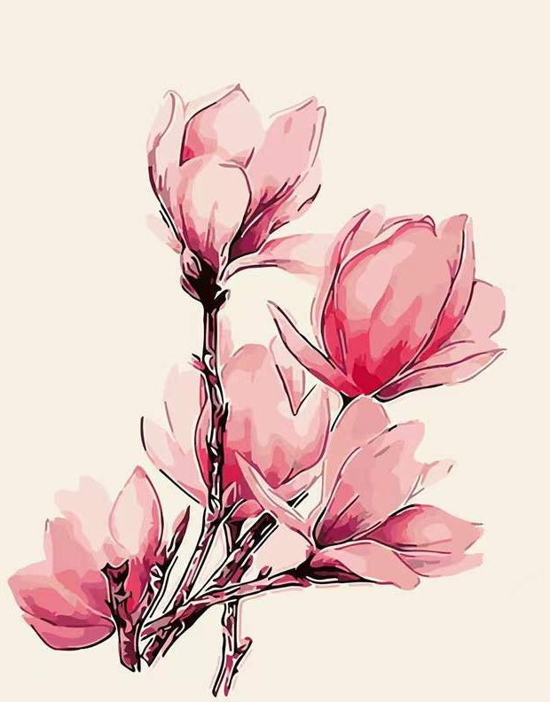 Flores de Magnolia Rosada con Fondo Blanco Pintar por Números