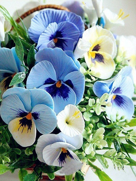 Flores de Pensamiento de Color Blanco y Azul Pintar por Números