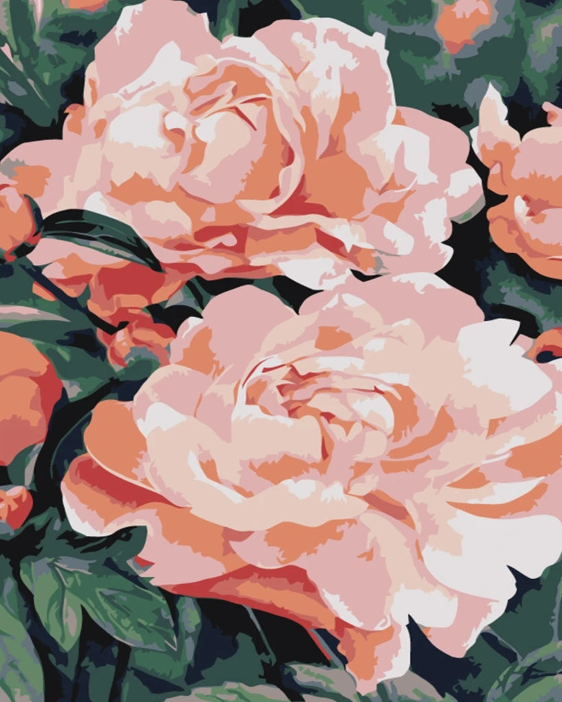 Flores de Peonías Rosadas entre Hojas Verdes Pintar por Números