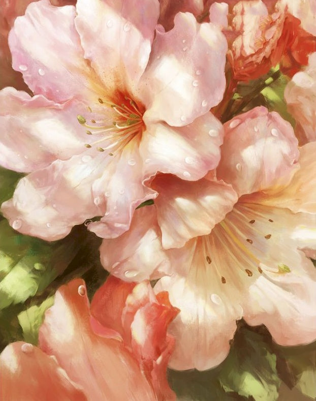 Flores Hermosas al Sol con Gotas de Agua Pintar por Números