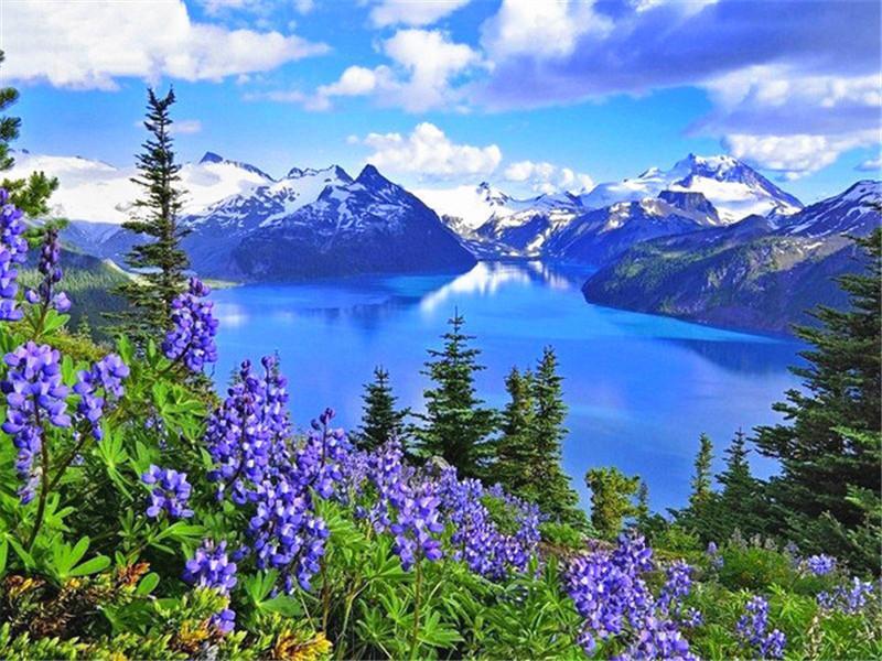 Flores Moradas con Lago y Montañas Pintar por Números