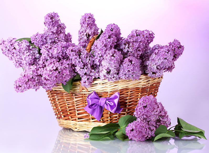 Flores Moradas en Cesta con Lazo de Cinta Violeta Pintar por Números