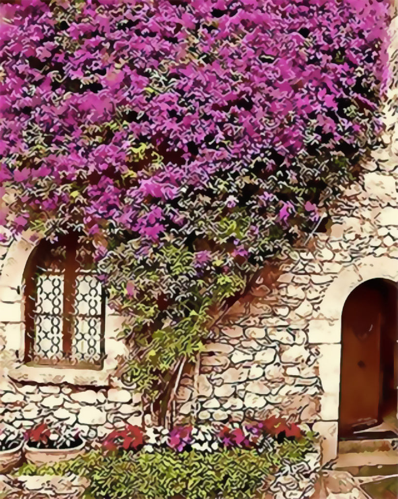 Flores Moradas en la Pared de Piedra con Puerta y Ventana Pintar por Números
