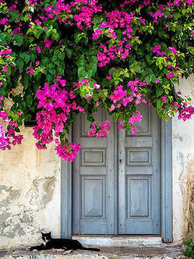 Flores Moradas y Gato Negro al Lado de Puerta Pintar por Números