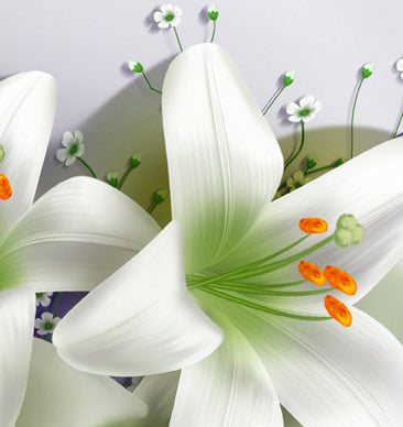 Flores Pequeñas y Lirios Blancos de Estambres Anaranjados Pintar por Números