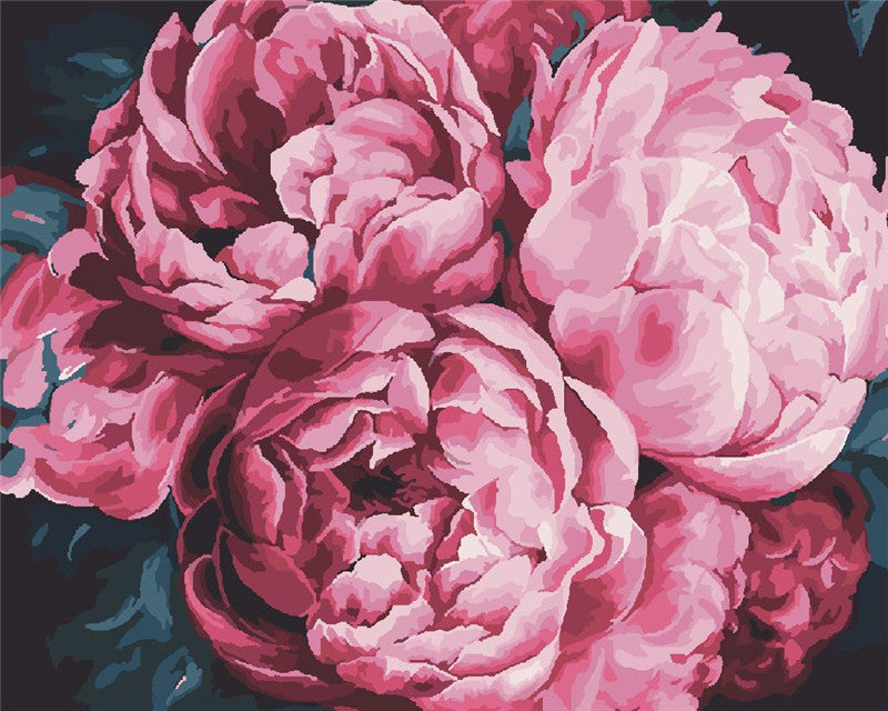 Flores Rosadas de Peonía con Fondo Oscuro Pintar por Números