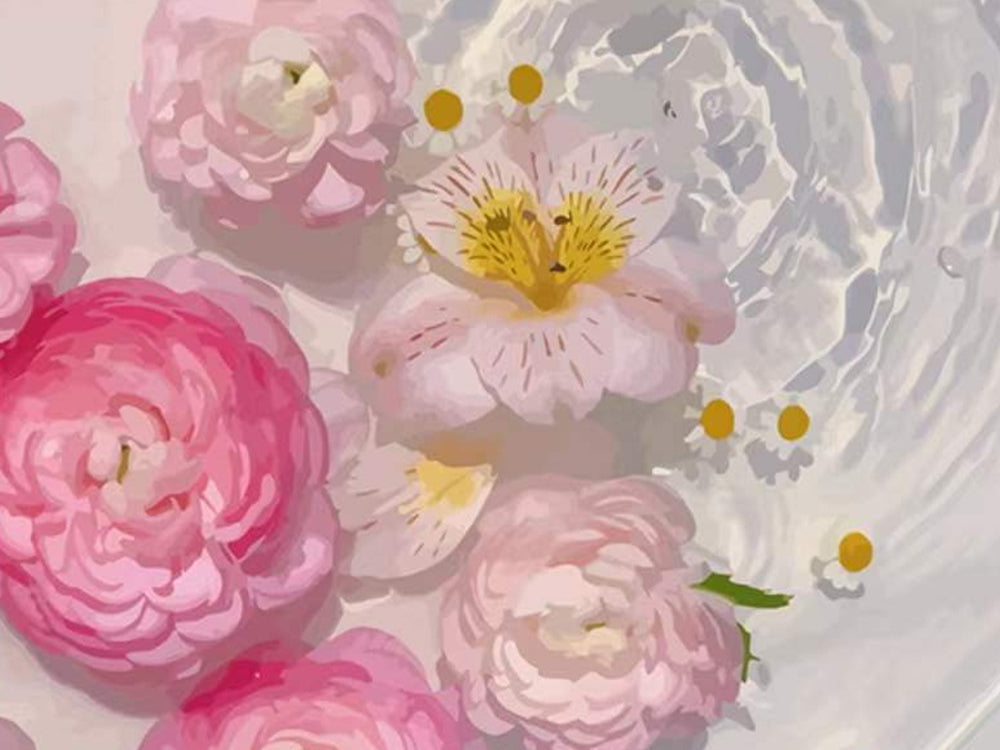 Flores Rosadas y Camomilas Flotando sobre Agua Pintar por Números