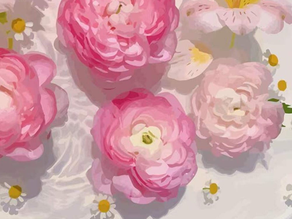 Flores Rosadas y Camomilas Flotando sobre el Agua Pintar por Números